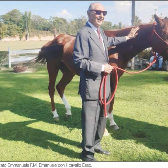 UN CAVALLO PERSANO IN VIAGGIO PER I PIU’ FRAGILI