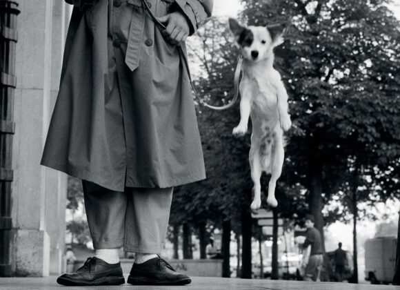 ELLIOTT ERWITT. Icons