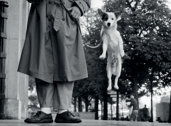 ELLIOTT ERWITT. Icons
