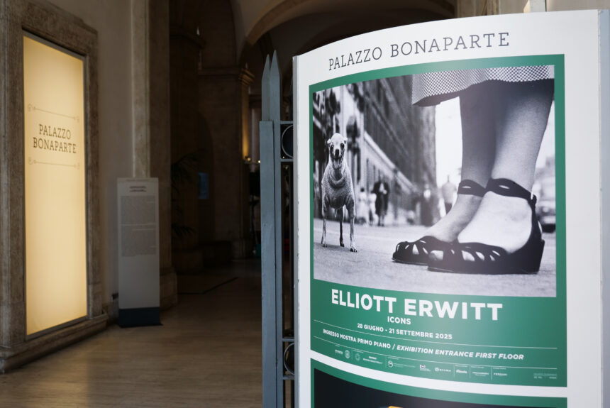 Palazzo Bonaparte accoglie lo sguardo più ironico e disarmante della fotografia del Novecento: ELLIOTT ERWITT.